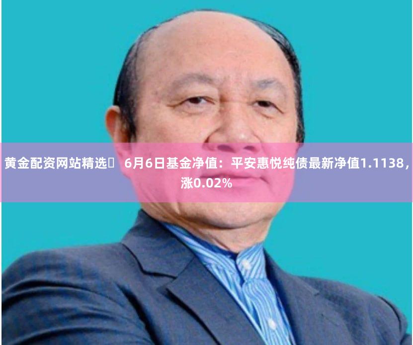 黄金配资网站精选	 6月6日基金净值：平安惠悦纯债最新净值1.1138，涨0.02%