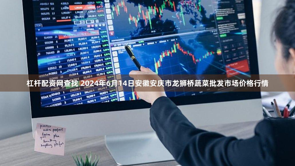 杠杆配资网查找 2024年6月14日安徽安庆市龙狮桥蔬菜批发市场价格行情