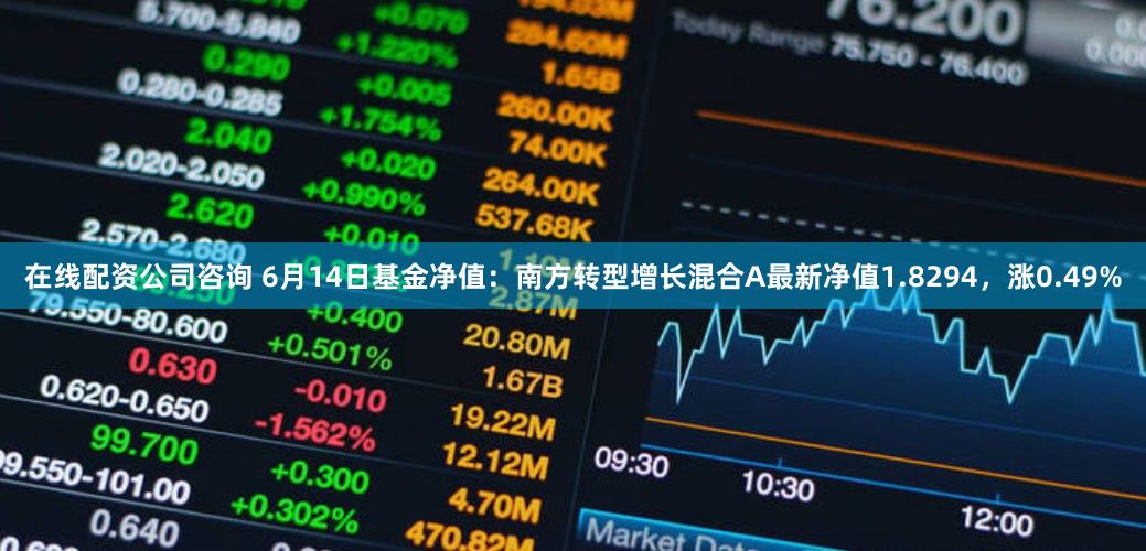 在线配资公司咨询 6月14日基金净值：南方转型增长混合A最新净值1.8294，涨0.49%