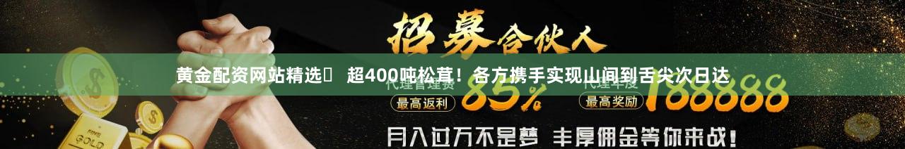 黄金配资网站精选	 超400吨松茸！各方携手实现山间到舌尖次日达