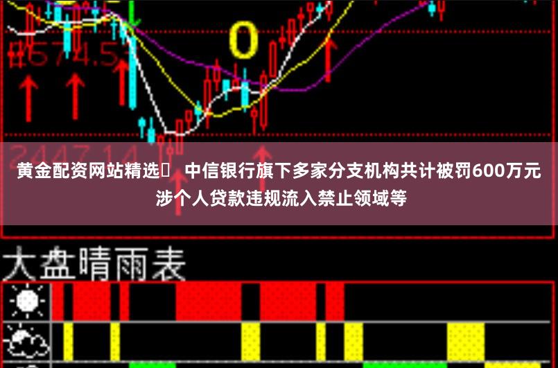 黄金配资网站精选	 中信银行旗下多家分支机构共计被罚600万元 涉个人贷款违规流入禁止领域等