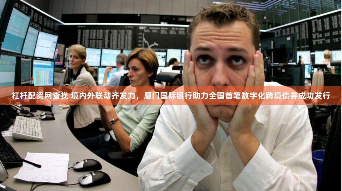 杠杆配资网查找 境内外联动齐发力，厦门国际银行助力全国首笔数字化跨境债券成功发行