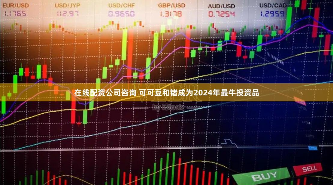 在线配资公司咨询 可可豆和锗成为2024年最牛投资品