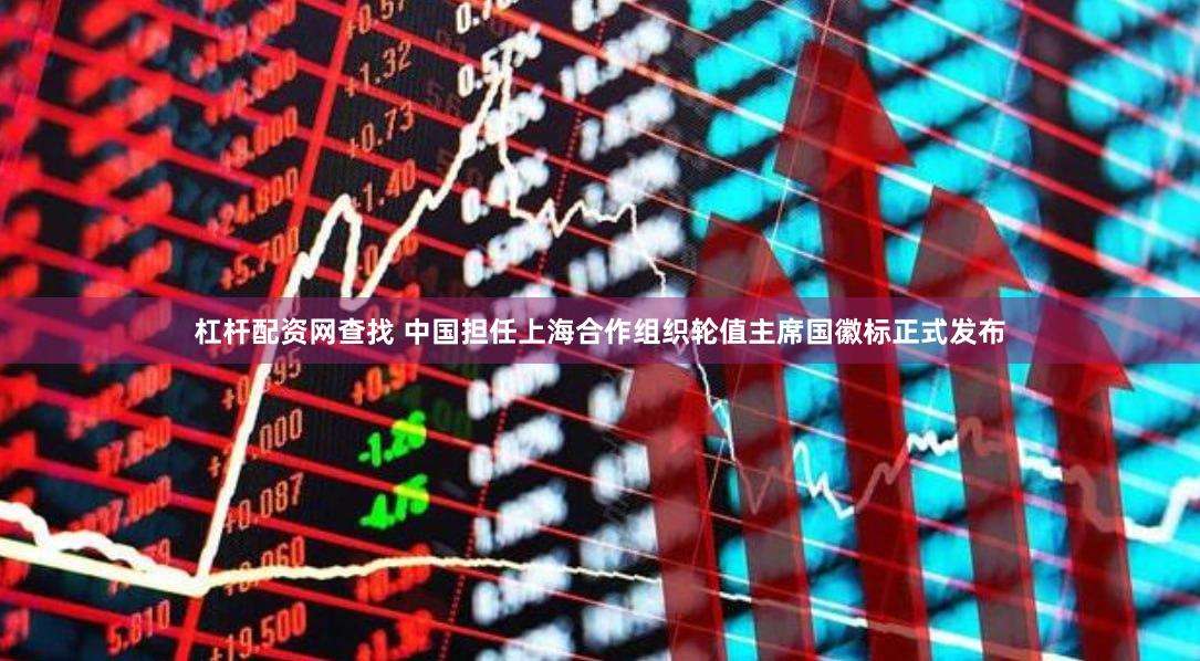 杠杆配资网查找 中国担任上海合作组织轮值主席国徽标正式发布